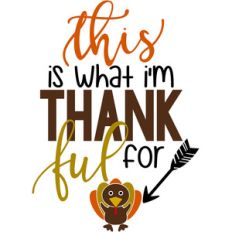 this is what i'm thankful for