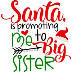 santa is promoting me to big sister