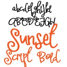 pn sunset script bold