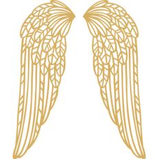 wings