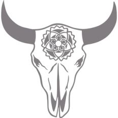 cow skull with medallion