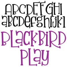 zp blackbird play