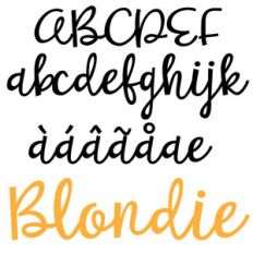 pn blondie
