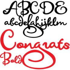 zp congrats bold