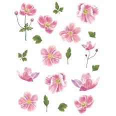 japanese anemone flower stickers