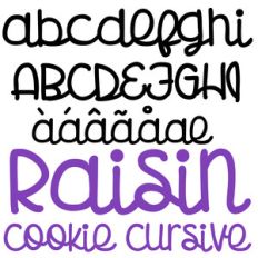 zp raisin cookie cursive