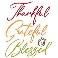 thankful grateful and blessed