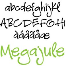 pn megajoule