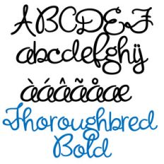 zp thoroughbred bold