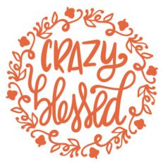 crazy blessed