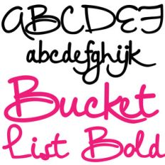 zp bucket list bold