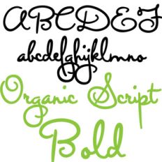 zp organic script bold