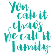 you call it chaos we call it family