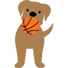 dog biting the basketball