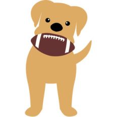 dog biting the football