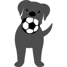 dog biting the soccer ball