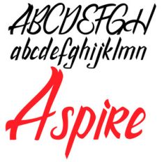 zp aspire