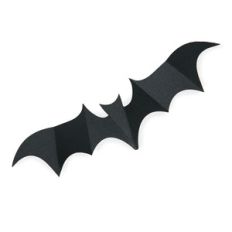 wall bat