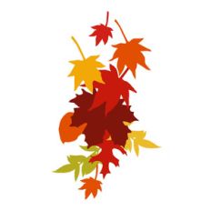 fall leaf cluster