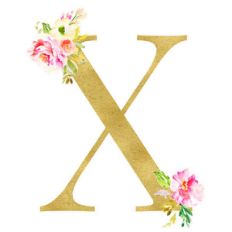floral monogram letter x