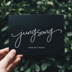 jungsong