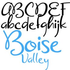 zp boise valley
