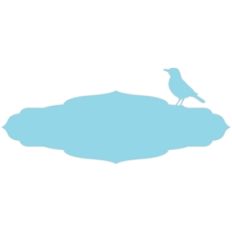 bird tag