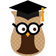 graduation owl