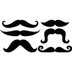 6 mustache set