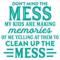 don't mind the mess