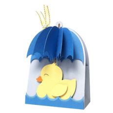 duck box