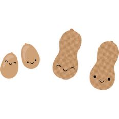 peanuts - so much pun