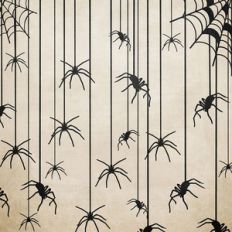 halloween spider background paper