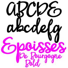 pn epoisses de bourgogne bold