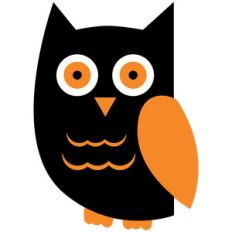 owl halloween night