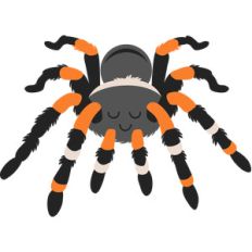 halloween tarantula