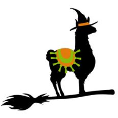 llama on broom