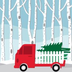 christmas tree truck birch forest