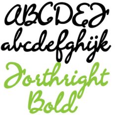 pn forthright bold