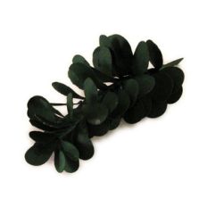 boxwood 3d sprig
