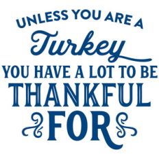 unless you are a turkey you have something to be thankful for