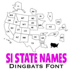 interlocking states of the u.s. dingbats font