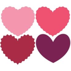 scallop heart set