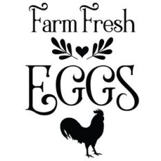 farm fresh eggs