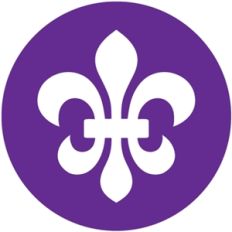 fleur de lis