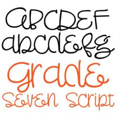 pn grade seven script