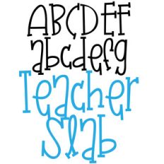 pn teacher slab