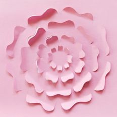 cut and bend flower background