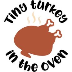 tiny turkey in the oven