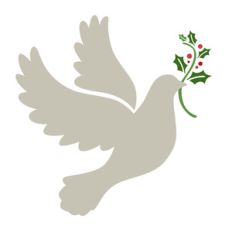 christmas dove with holly